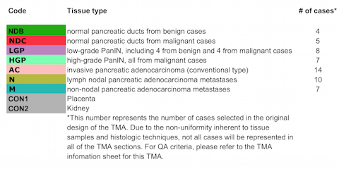 CHTN_PancProg1 - Pancreas Carcinoma Progression Code Key